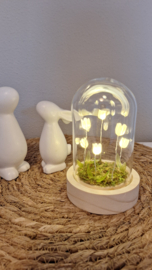 LED Stolp | Warm wit licht