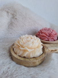 Geur rozen | Diverse kleuren