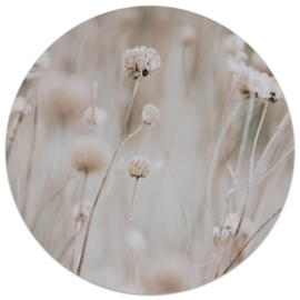 Tuincirkel | foto bloemen