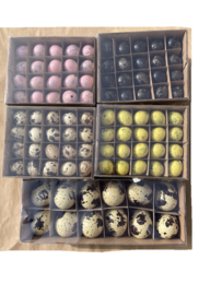 Kwarteleitjes –PINK– 60 Stuks