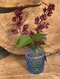 FLESJE VAASJES BLAUW HOOG 10 CM