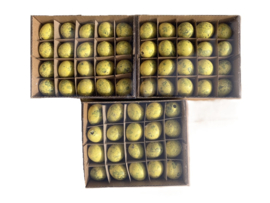 Kwarteleitjes – YELLOW – 60 Stuks