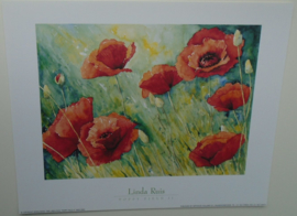 POSTER 25x20 cm POPPY FIELD II