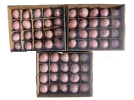 Kwarteleitjes –PINK– 60 Stuks