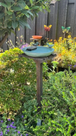 VOGELBAD ROND CELADON GROOT
