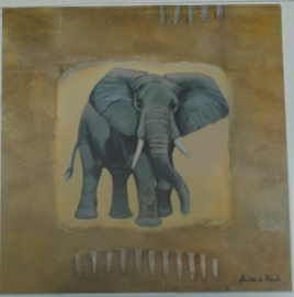 POSTER 33x33 cm OLIFANT