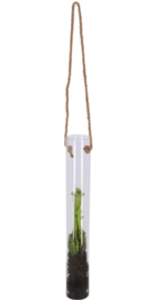 TERRARIUM VOOR HANGENDE PLANTEN GROOT 46 cm