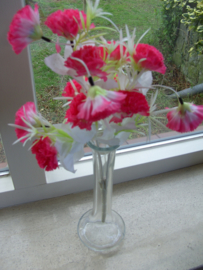 BLOEMEN BOSJE HOT PINK