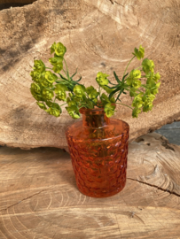 FLESJE VAASJES ORANJE HOOG 10 CM