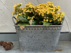 METALEN PLANTENBAKKEN RECHTHOEK OLD LOOK GROOT