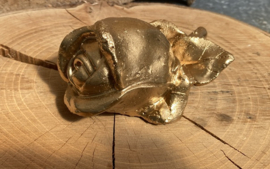ROOS STEEN GOLD
