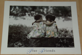 TRUE FRIENDS 1 POSTER