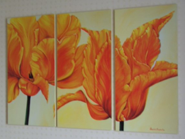 DRIELUIK GROOT 120 X 80 CM TULPEN IN BLOEI  mod 1