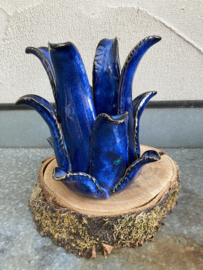 WAXINEHOUDER ALOË VERA IN DONKER BLAUW 15 cm