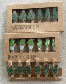 HOUT DECO 92-94 div CACTUS – BLADEREN FOTOCLIPS