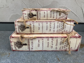 DECORATIE BOEKEN FLORE DES JARDINIER 3 DLG GROTE SET