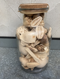 DECO GLAS BOTTLE FLORA 210 NATUREL