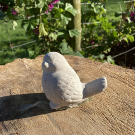 VOGEL JONG STEEN