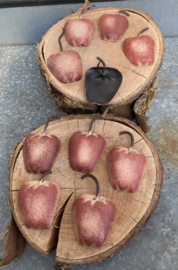 APPELTJES IJZEREN SET 10 STUKS