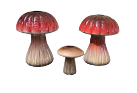 Vaas Paddenstoel Champignon rood 19,3 cm