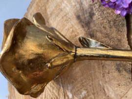 ROOS GOUD GROOT 40 CM