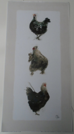 POSTER THREE CHICKENS I 60 x 30 cm