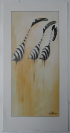 POSTER ZEBRA BIRDS 1 60 x 30 cm