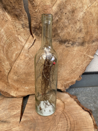 FLES MET TAKJES EN LED LICHTJES