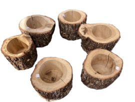 BOOMSTAM BLOEMBAKJES 11 CM