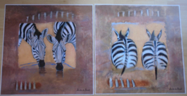 POSTERS ZEBRA SERIE 2 DLG 60 x 60 cm