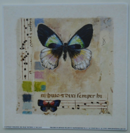 POSTER 18x18 cm BUTTERFLY II