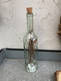 FLES MET TAKJES EN LED LICHTJES