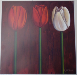 POSTER 30x30 cm THREE TULPS