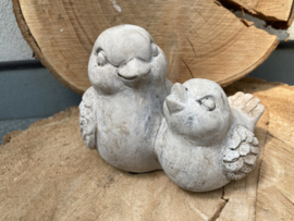 BIRDS CONCRETE POP MET KUIKEN