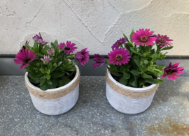 BLOEMPOT STIJLVOL MET NATUURLIJKE ACCENTEN GRIJS JUTE H 10,5 DIA 13,5 cm