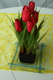 TULPEN ROOD MET AARDE