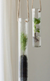 TERRARIUM VOOR HANGENDE PLANTEN GROOT 46 cm