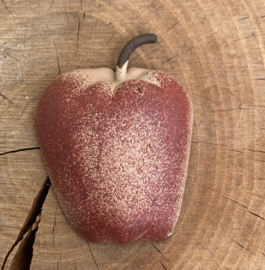 APPELTJES IJZEREN SET 10 STUKS