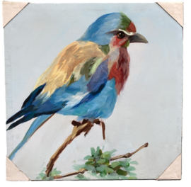 SCHILDERIJ VOGEL BONT 50x50 cm