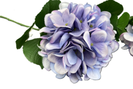 Prachtige Zijden Hortensia’s 70 cm – Altijd in Bloei!