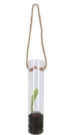 TERRARIUM VOOR HANGENDE PLANTEN MIDDEL 30 cm