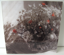 FOTO ACHTER PLEXIGLAS ZOMER BLOEMEN 30x30 cm