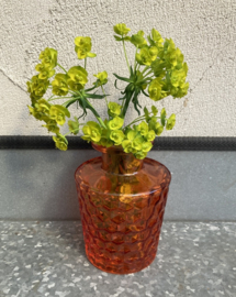 FLESJE VAASJES ORANJE HOOG 10 CM