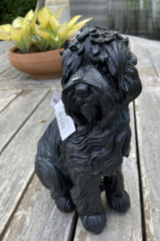 BLACK LABRADOODLE 23CM HOOG