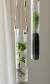 TERRARIUM VOOR HANGENDE PLANTEN MIDDEL 30 cm