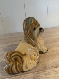 Lief Yorkshire terriër beeldje