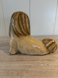 Lief Yorkshire terriër beeldje