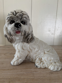 Honden spaarpot