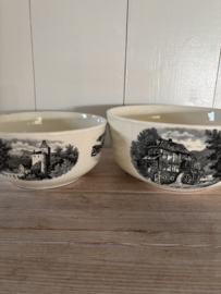 Landschap zwart schalen