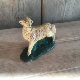 Gipsen schaap